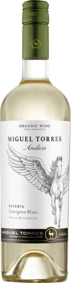 Andica Sauvignon Blanc 2019 - Miguel Torres Chile