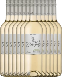 12er Vorteilspaket - Fleur De D'Artagnan Colombard Sauvignon IGP 2022 - Plaimont