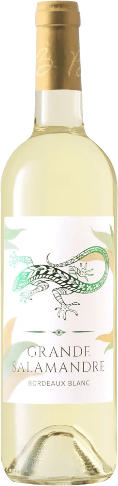 20 Grande Salamandre Sauvignon Bordeaux AOC - Bernard Massard