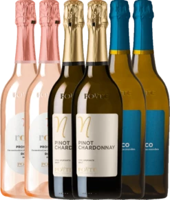 6er Kennenlernpaket - Spumante Von Ponte -Ferrari || Nautilus || Bree Sales 6er spumante vorteilspaket