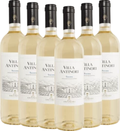 6er Vorteils-Weinpaket - Villa Antinori Bianco Toscana IGT 2022 - Marchesi Antinori -Ferrari || Nautilus || Bree Sales 6er villa antinori toscana bianco antinori