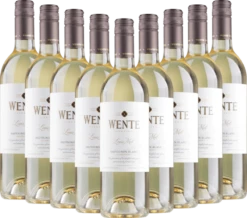 9x Vorteils-Weinpaket Louis Mel Sauvignon Blanc - Wente Vineyards -Ferrari || Nautilus || Bree Sales 9x louis mel sauvignon blanc wente vineyards