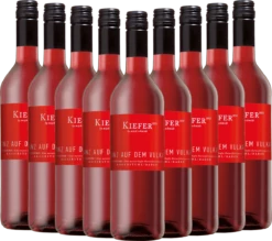 9x Vorteils-Weinpaket Tanz Auf Dem Vulkan Rotling - Weingut Kiefer -Ferrari || Nautilus || Bree Sales 9xOnBREUiSgySi2