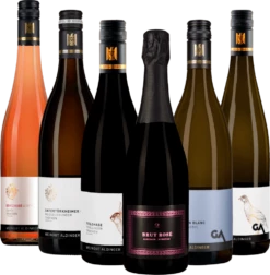 Spannende Weine Vom Weingut Aldinger - 6x Kennenlernpaket -Ferrari || Nautilus || Bree Sales Aldinger Kennenlernpaket