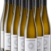 12er Vorteilspaket - Grauburgunder Trocken - Juwel Weine