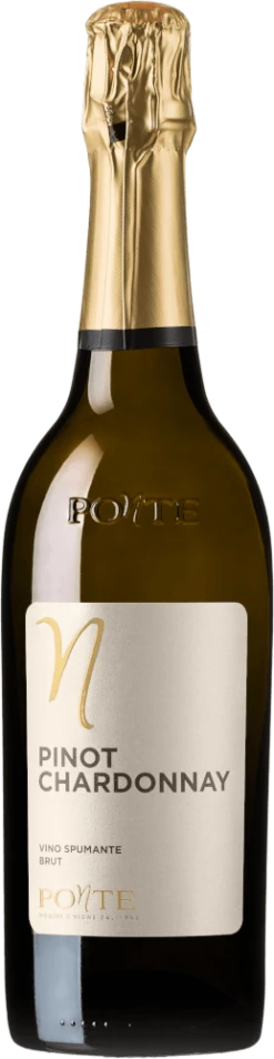 6er Kennenlernpaket - Spumante Von Ponte -Ferrari || Nautilus || Bree Sales PONTE Pinot Chardonnay brut