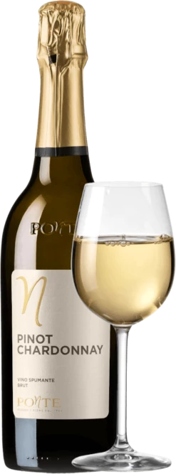 6er Vorteilspaket - Pinot Chardonnay Brut - Ponte