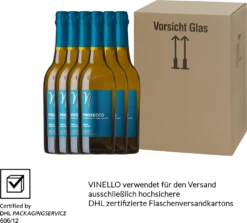 6er Vorteilspaket - Prosecco Spumante Treviso DOC Extra Dry - Ponte