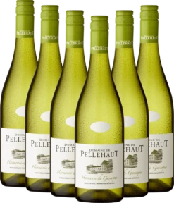 6er Vorteils-Weinpaket - Harmonie De Gascogne Blanc - Domaine De Pellehaut -Ferrari || Nautilus || Bree Sales Pellehaut Blanc 6Pkt 1