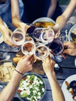 Doppio Passo Bio Primitivo Puglia IGT - CVCB -Ferrari || Nautilus || Bree Sales SV 3 Doppio Passo Primitivo Bio