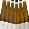 6er Vorteils-Weinpaket - Sauvignon Blanc Eins Zu Eins - A. Diehl -Ferrari || Nautilus || Bree Sales Sauv Diehl 6Pkt