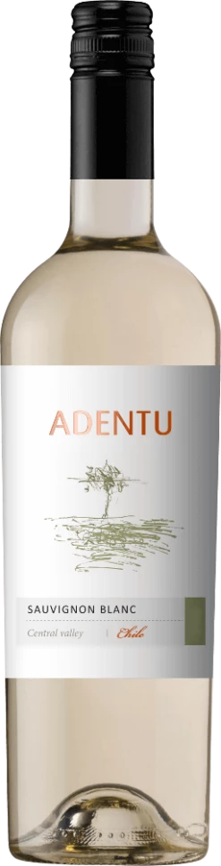 Adentu Sauvignon Blanc - Viña Siegel