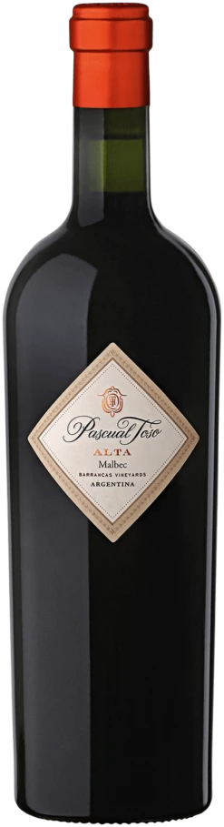 Alta Malbec - Pascual Toso