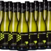 12er Vorteilspaket - Curious Kiwi Sauvignon Blanc - Marisco -Ferrari || Nautilus || Bree Sales curious kiwi sauvignon blanc marisco 12x