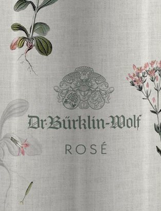 Dr. Bürklin Wolf Rosé - Weingut Bürklin Wolf 4 Dr. Bürklin Wolf Rosé - Weingut Bürklin Wolf - Image 2