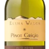 Selezione Pinot Grigio Alto Adige DOC - Elena Walch -Ferrari || Nautilus || Bree Sales elena walch selezione pinot grigio