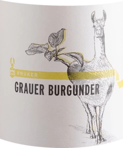 Grauer Burgunder Trocken - Weingut Bruker