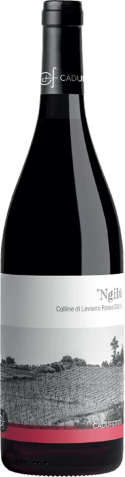 Ngilu Colline Di Levanto Rosso - Ca' Du Ferra