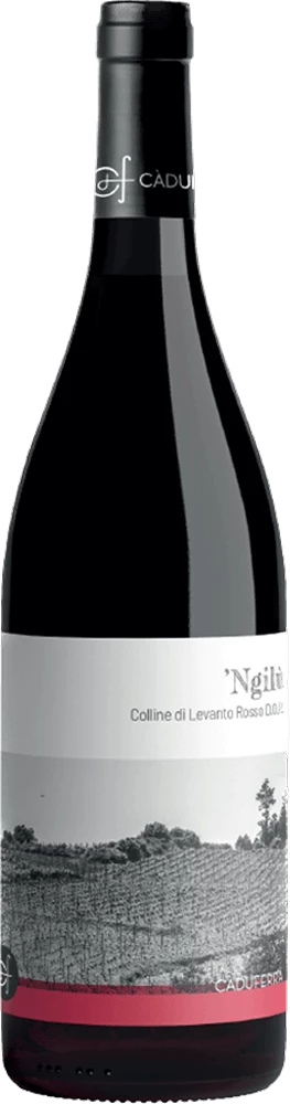 Ngilu Colline Di Levanto Rosso - Ca' Du Ferra 3 Ngilu Colline Di Levanto Rosso - Ca' Du Ferra