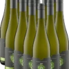 12er Paket - Noovi Sauvignon Blanc Prestige Alkoholfrei -Ferrari || Nautilus || Bree Sales noovi sauvignon blanc 12er