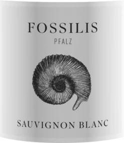 Ökonomierat Janson Fossilis Sauvignon Blanc - Weingut Pflüger