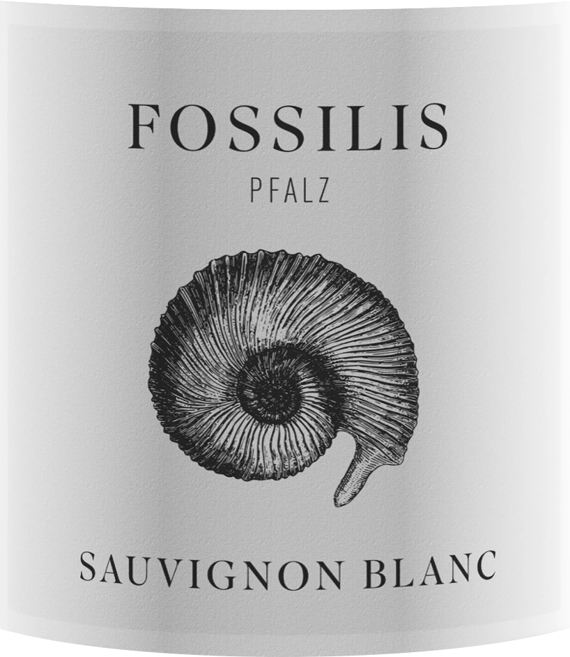 Ökonomierat Janson Fossilis Sauvignon Blanc - Weingut Pflüger 3 Ökonomierat Janson Fossilis Sauvignon Blanc - Weingut Pflüger