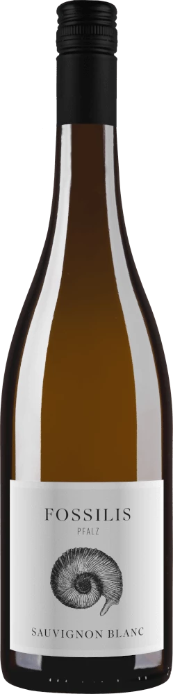 Ökonomierat Janson Fossilis Sauvignon Blanc - Weingut Pflüger 4 Ökonomierat Janson Fossilis Sauvignon Blanc - Weingut Pflüger - Image 2