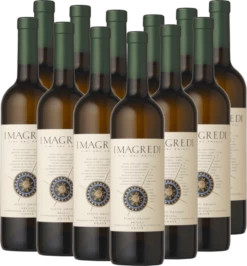 12er Vorteils-Weinpaket Pinot Grigio Friuli DOC Grave 2021 - I Magredi -Ferrari || Nautilus || Bree Sales pinot grigio i magredi 12 er
