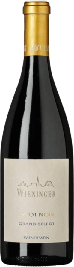 Pinot Noir Grand Select - Weingut Wieninger