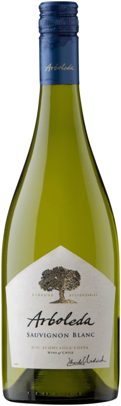 Sauvignon Blanc Valle De Aconcagua DO - Arboleda
