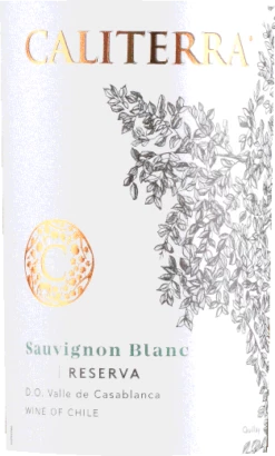 Sauvignon Blanc Reserva Casablanca Valley DO - Caliterra