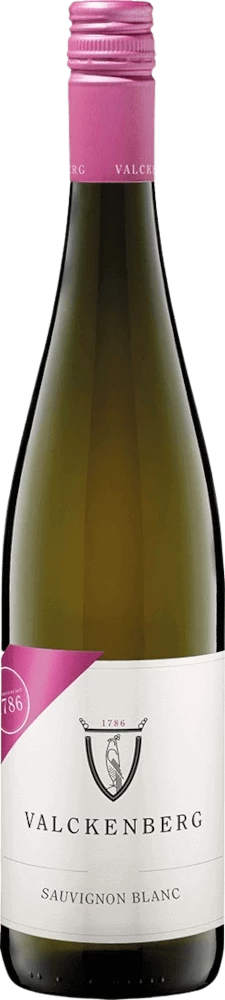 Sauvignon Blanc Trocken - P.J. Valckenberg