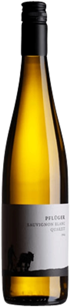 Sauvignon Blanc Vom Quarzit Trocken - Weingut Pflüger