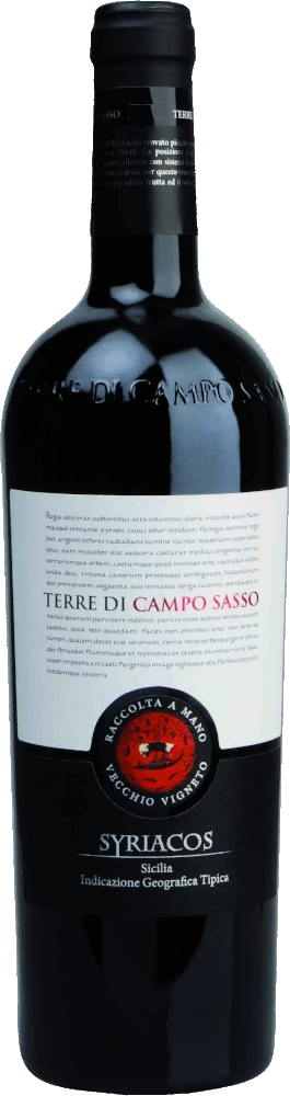 Syriacos Vecchio Vigneto - Terre Di Campo Sasso 4 Syriacos Vecchio Vigneto - Terre Di Campo Sasso - Image 2