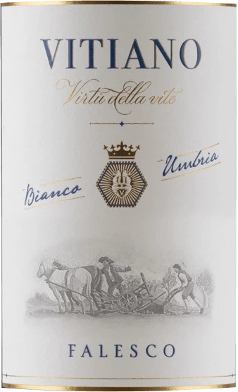 Vitiano Bianco Umbria IGP - Falesco 4 Vitiano Bianco Umbria IGP - Falesco - Image 2